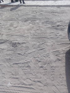 333325067_735628921279799_7053363716809250763_n.jpg
